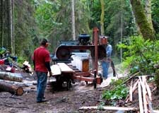 Milling a maple log
May 2007